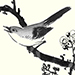 Shinya Ikeda Gallery
